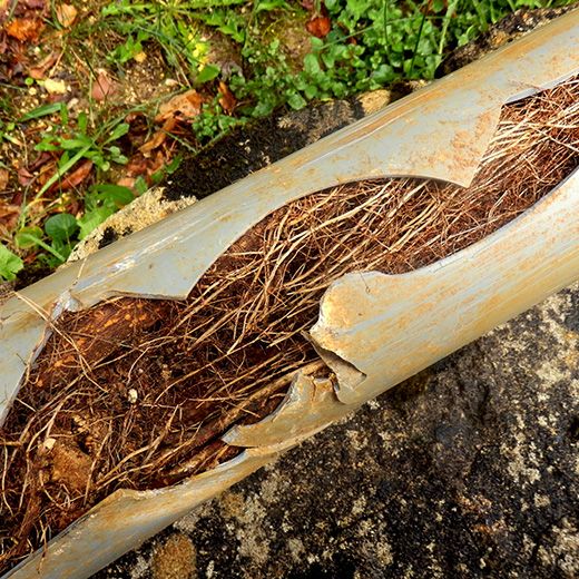 Same Day Drain Sewer & Rooter Pros Across New Hampton